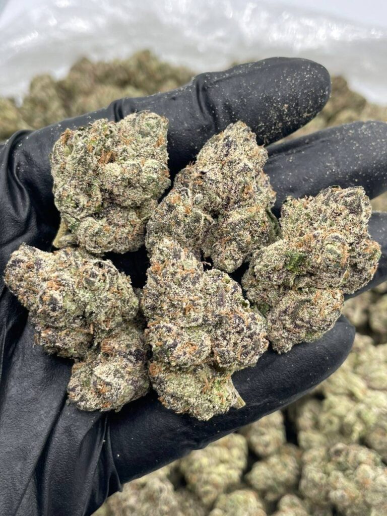 MAC 1