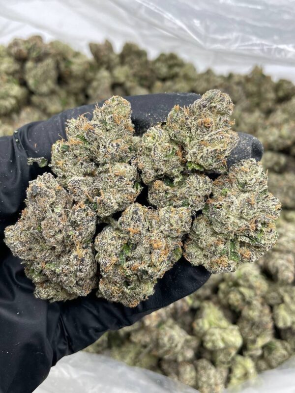 Apple Gusher Strain