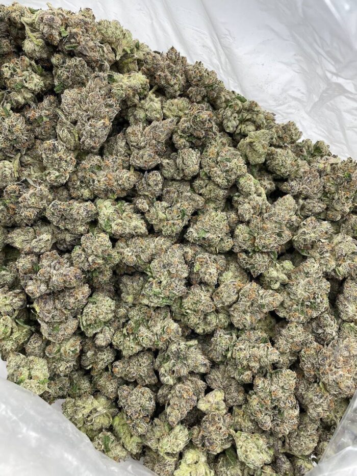 APPLE GUSHERS STRAIN - Image 2