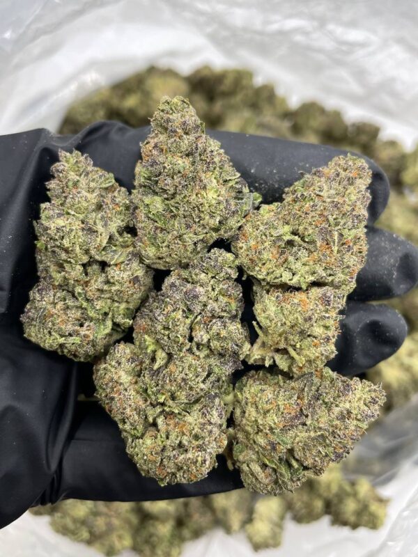 orange slush strain