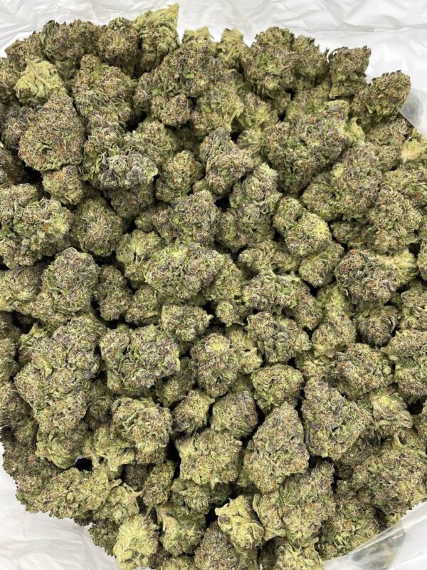 orange slush strain