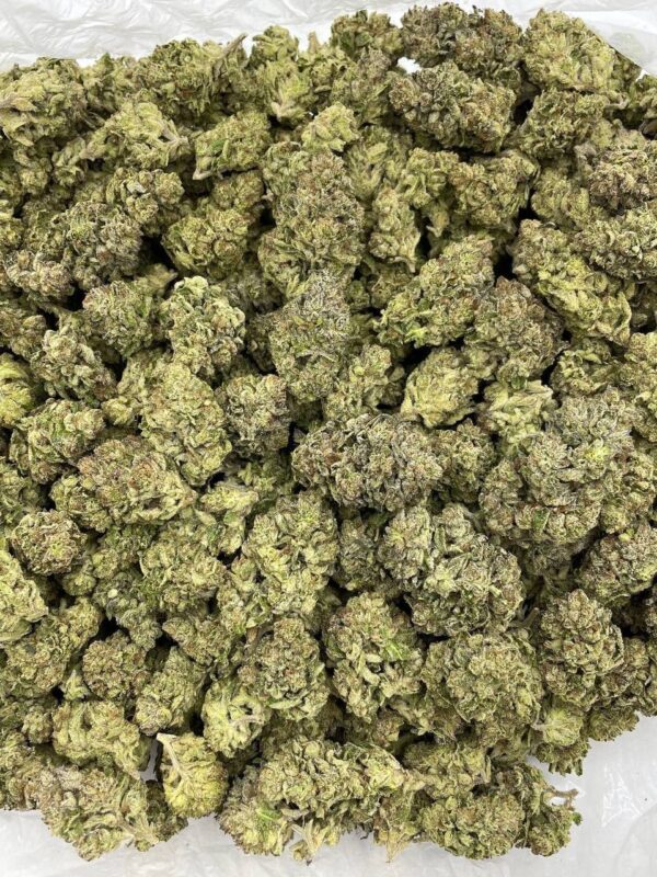 Purple Dream Strain